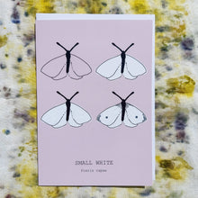 Load image into Gallery viewer, A grey-pink card featuring the drawing stages of a small white across four outlines. At the bottom of the card are the english and latin names for the butterfly.  Behind the card is a white envelope, behind which is a naturally dyed fabric background featuring yellow and purple tones. 
