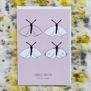 A grey-pink card featuring the drawing stages of a small white across four outlines. At the bottom of the card are the english and latin names for the butterfly.  Behind the card is a white envelope, behind which is a naturally dyed fabric background featuring yellow and purple tones. 