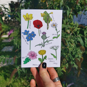 A white A6 card held in front of a budleia by a hand with black nail polish. The card features simple full colour illustrations of common wildflowers found in the UK.