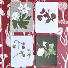 Load image into Gallery viewer, Four postcards with rounded corners on a red background with white fungi illustrations. From L to R, top to bottom you can see a beige card with a full colour wood anenome illustration, a white postcard with a pink and green strawberry plant illustration, a pale pink postcard with wild strawberry illustrations and a dark green postcard featuring bindweed and wild grasses.
