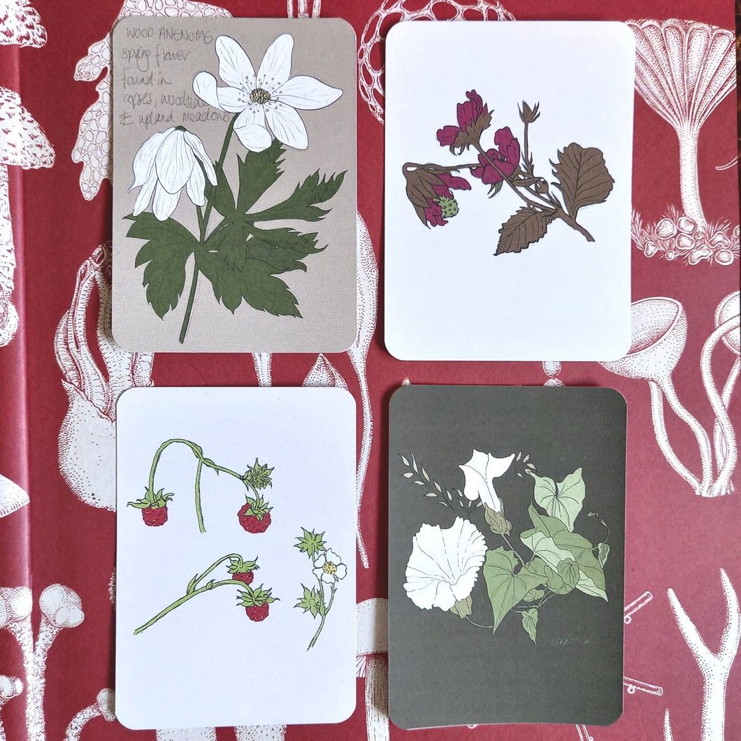 Four postcards with rounded corners on a red background with white fungi illustrations. From L to R, top to bottom you can see a beige card with a full colour wood anenome illustration, a white postcard with a pink and green strawberry plant illustration, a pale pink postcard with wild strawberry illustrations and a dark green postcard featuring bindweed and wild grasses.