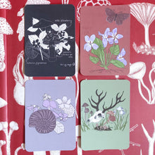 Load image into Gallery viewer, Four postcards with rounded corners on top of a red background featuring white fungi illustrations. The post cards from L to R, top to bottom are black with a white fungi and wild strawberry illustration, burnt orange with a full colour hairy violet and ringlet butterfly illustration. A lilac postcard featuring an ammonite, brambles and sweet pea and a muted green postcard featuring a deer skull and different fungi.
