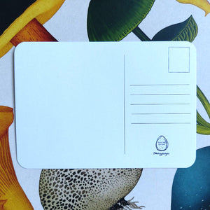 The white back of the postcard featuring a black line box for the stamp in the top right above five lines for the address, with a mini Duck Egg Designs logo at the bottom. To the left of the lines is a black vertical line splitting the page.
