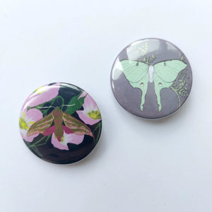 Two circle badges lay on a white background, the one on the top right is lilac grey with a pastel green luna  moth in the middle, while the badge to the left and slightly below it is dark blue with pink evening primrose and an elephant hawk-moth on it.