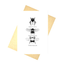Load image into Gallery viewer, A white card featuring three bee illustrations in a vertical line down the middle. The top one has its wings in while the others have their wings out to the sides. Under each bee is its latin name, and behind the card you can see a recycled brown paper envelope behind which is a white background.
