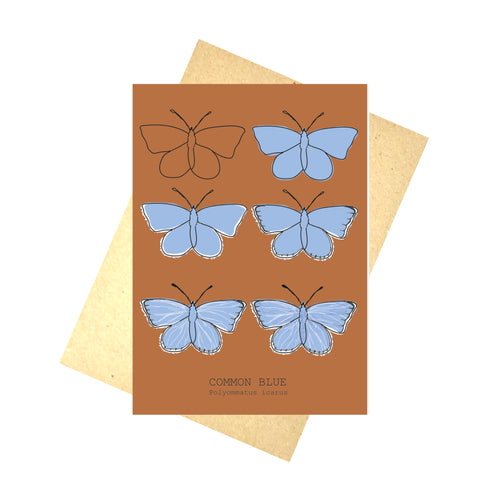 Common Blue Butterfly. A warm orange portrait card with six butterflies in rows of two. The butterflies are in the different stages of drawing showing the illustration going from just an outline to the full piece. At the bottom of the card is the english and latin names of the butterfly. Behind the card is a brown envelope, behind which is a white background.