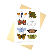 Load image into Gallery viewer, White card featuring butterflies commonly found in the UK. From L to R - orange tip, comma, peacock, small white, common blue, painted lady, small copper and a speckled wood. At the bottom of the card are the butterfly names and to the bottom left of each butterfly is their number. Behind the card is a brown envelope, behind which is a white background.
