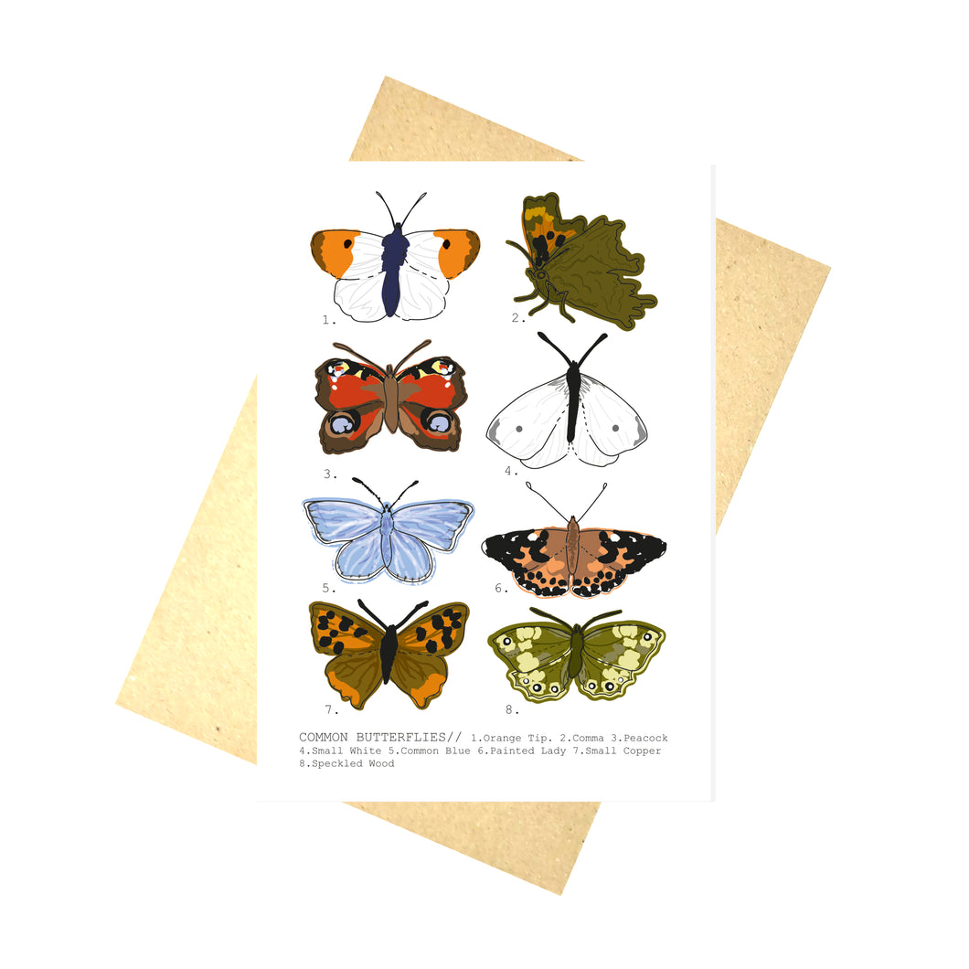White card featuring butterflies commonly found in the UK. From L to R - orange tip, comma, peacock, small white, common blue, painted lady, small copper and a speckled wood. At the bottom of the card are the butterfly names and to the bottom left of each butterfly is their number. Behind the card is a brown envelope, behind which is a white background.