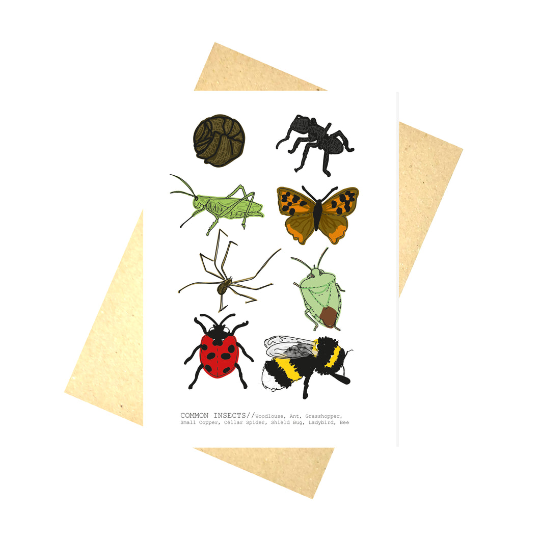 A white card showing insects commonly found in the UK. From L to R - a woodlouse, an ant, a grasshopper, a small copper butterfly, a cellar spider, a shield bug, a ladybird and a bumble bee. Underneath the insects is a list of their names in the order they appear. Behind the card is a brown envelope, behind which is a white background.