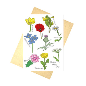 A white card showing wildflowers that are commonly found in the UK. From top to bottom, buttercup, cowslip, poppy, daisy, forget-me-not, thistle, queen ann's lace, mallow and dandelion. Behind the card is a brown envelope, behind which is a white background.