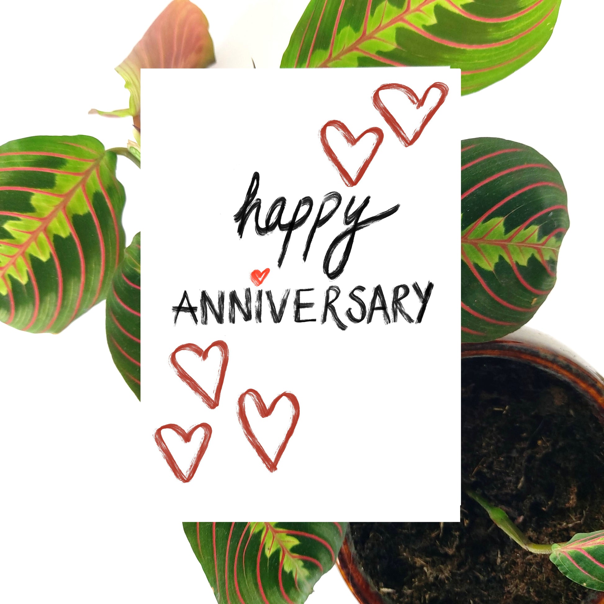White card featuring the words happy anniversary in black textured handwriting with a red love heart for the i in anniversary. Above and below the writing are a few red hearts in textured brush strokes. Behind the card a brown envelope is visible, behind which is a prayer plant on a white background.