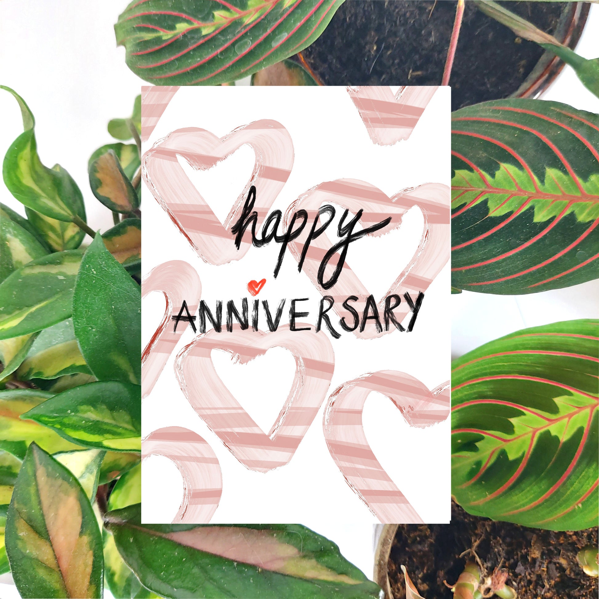 White card featuring simple heart shapes in a mix of pale and mid pink under the words happy anniversary in black textured handwriting with a red love heart for the i in anniversary. Behind the card a brown envelope is visible, in front of a collection of houseplants on a white background.