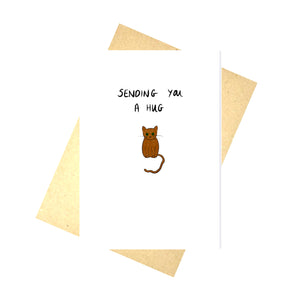 White card featuring a small brown cat with green eyes. Above the cat are the words 'SENDING YOU A HUG' in block handwriting. Underneath the card is a brown envelope in front of a white background.