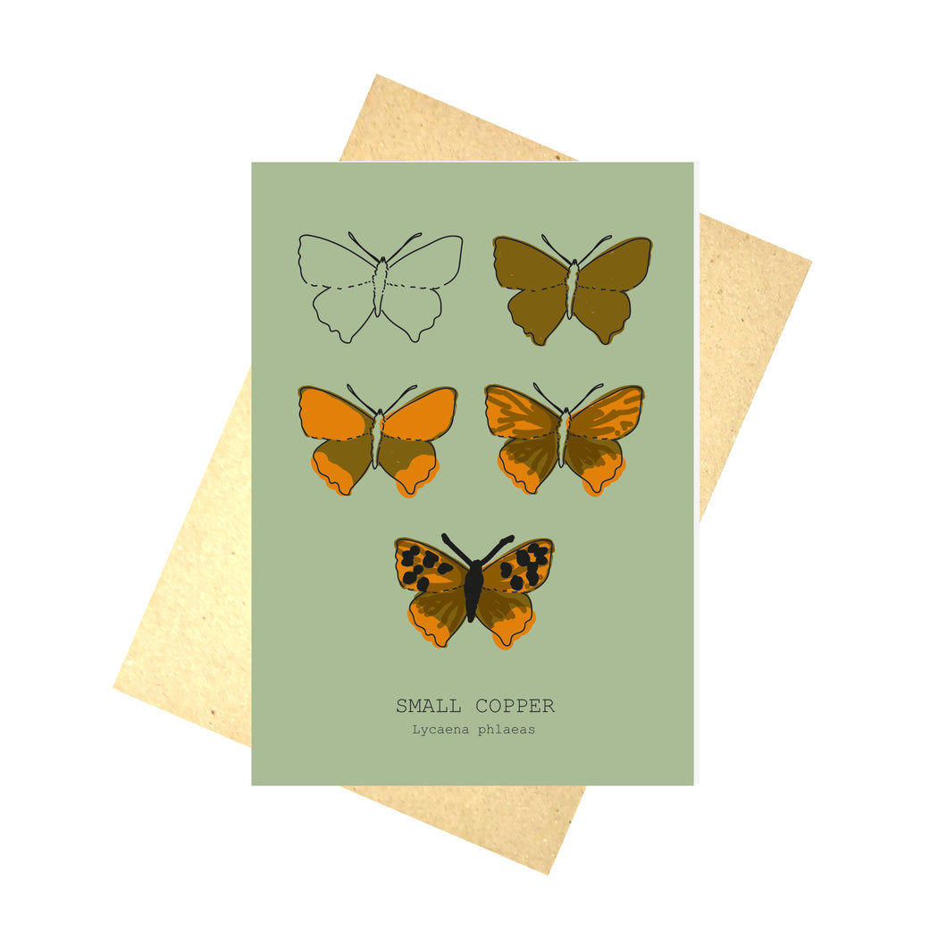 A sage green card featuring the drawing stages for a small copper across five outlines. At the bottom of the card are the butterflys english and latin names. Behind the card is a brown envelope, behind which is a white background.