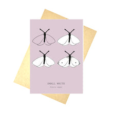Load image into Gallery viewer, A grey-pink card featuring the drawing stages of a small white across four outlines. At the bottom of the card are the english and latin names for the butterfly. Behind the card is a brown envelope, behind the envelope is a white background.
