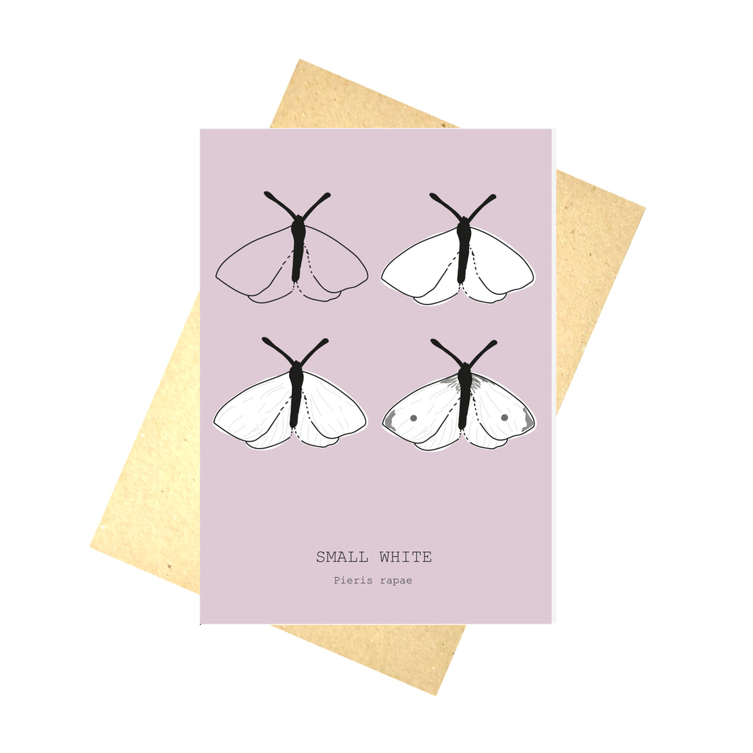 A grey-pink card featuring the drawing stages of a small white across four outlines. At the bottom of the card are the english and latin names for the butterfly. Behind the card is a brown envelope, behind the envelope is a white background.