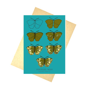 A blue card with the stages of drawing for a speckled wood illustration across seven outlines. At the bottom of the card are the english and latin names for the butterfly. Behind the card is a brown envelope, behind which is a white background.