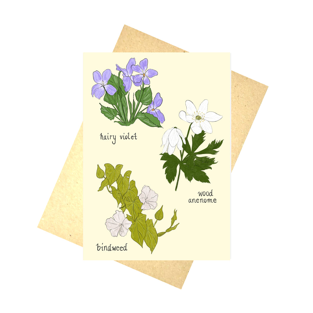 A pale yellow card featuring three wildflower illustrations. From top to bottom there is a purple hairy violet, a white wood anenome and white bindweed with their names under them in black handwriting. Behind the card is a recycled brown envelope behind which is a white background.